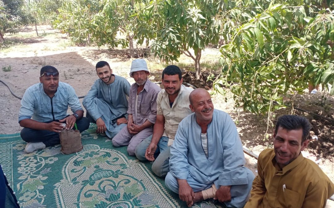 Farmer group in Egypt
